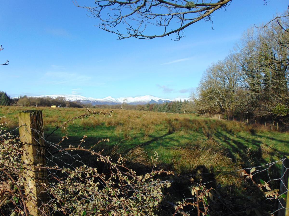 Dreamwood Cottage, Loch Lomond, Luxury Apartment. กลาสโกว์ ภายนอก รูปภาพ