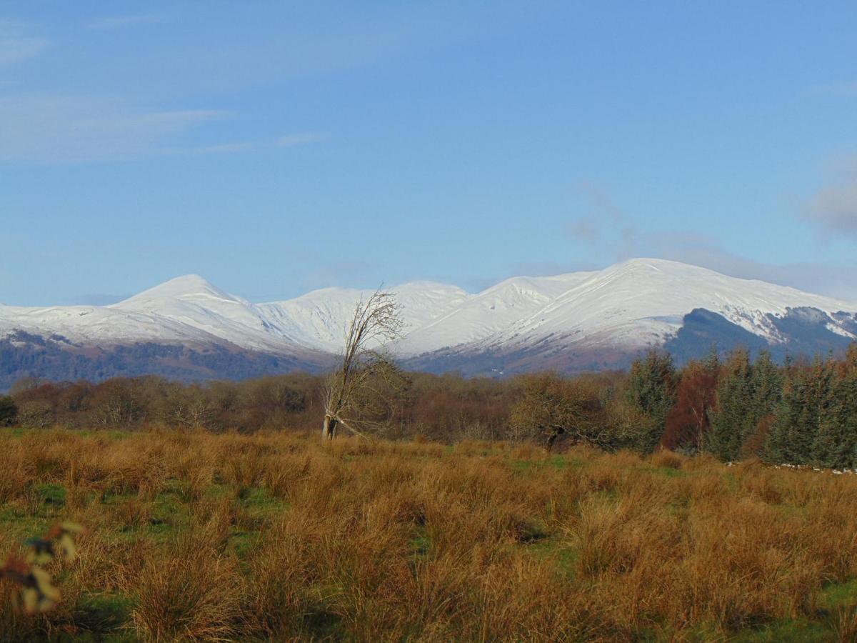 Dreamwood Cottage, Loch Lomond, Luxury Apartment. กลาสโกว์ ภายนอก รูปภาพ